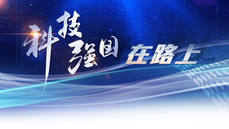 上海数据服务公司：解析其优缺点，助力企业明智选择